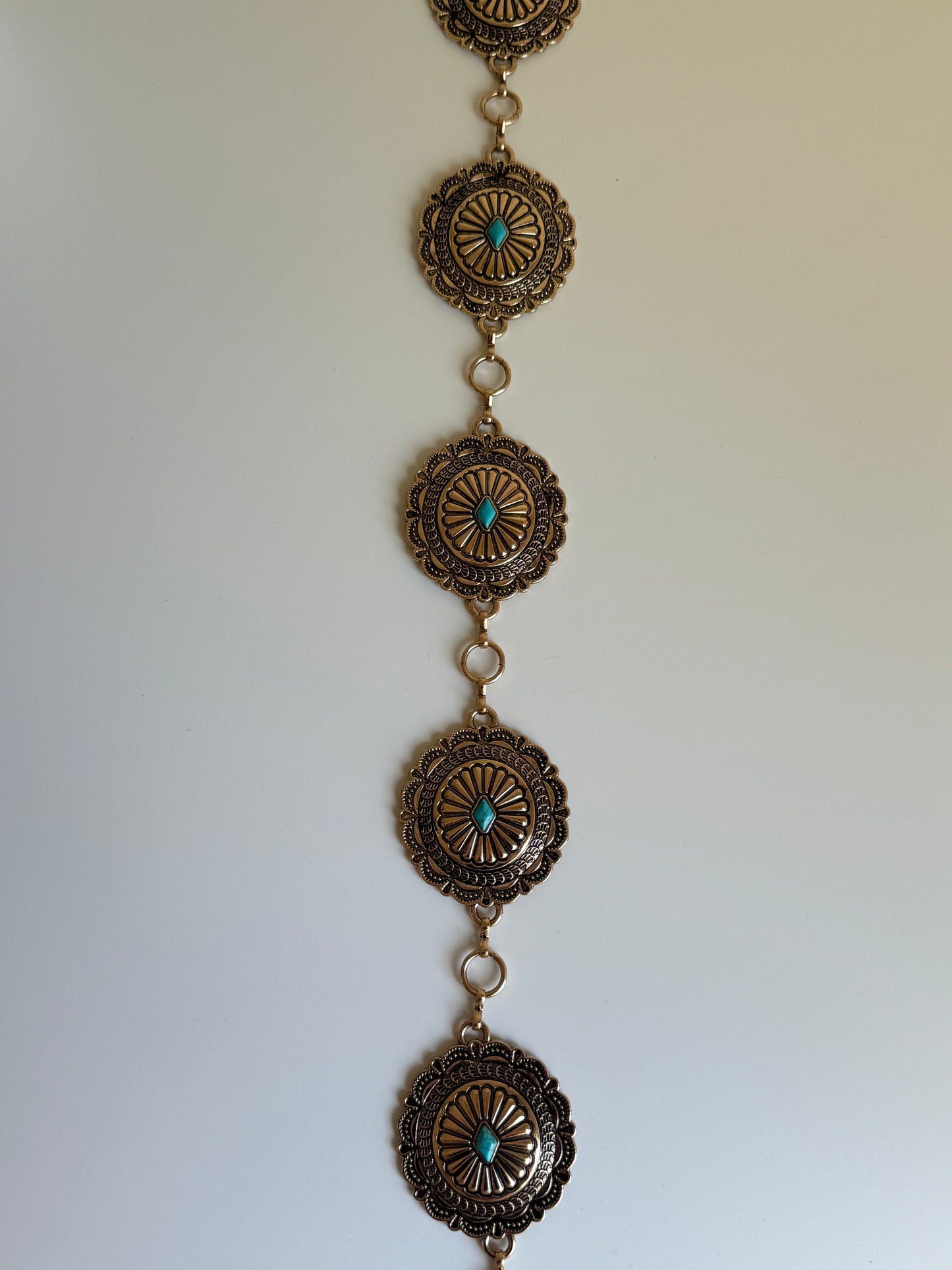 Sierra Gold belt #2